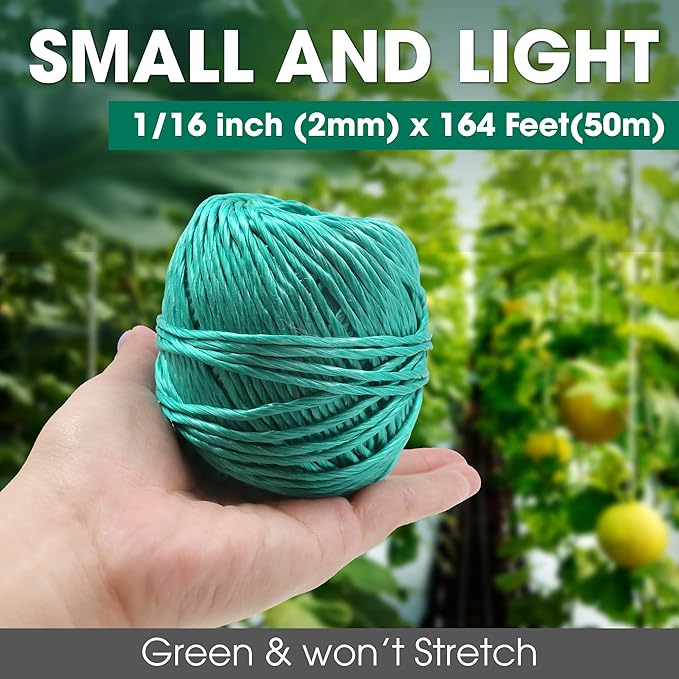 Polypropylene Twine - 5/64" Thick, 164 Feet Long for Bundling, Packaging, Gardening and More, Green