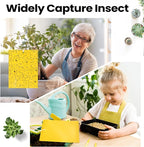 Qualirey 200 Pcs 6 x 8 Inch Sticky Traps for Gnats Dual Sided Fruit Fly Sticky Traps for Indoor and Outdoor Plant with Twist Ties and Plastic Holders for Flying Plant Insect, Fungus Gnats (Yellow)