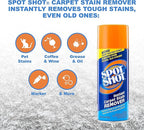Spot Shot Instant Carpet Stain Remover Aerosol 14 oz can - 2 Pack