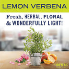 MRS. MEYER'S CLEAN DAY Vinegar Gel Cleaning Spray, Bathroom Use, No-Rinse Formula, Lemon Verbena, 16 Fl Oz, Pack of 1