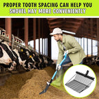 Tandefio 2 Pack Pitchfork Replacement Head Metal Horse Manure Rake Gardening Pitch Fork with Angled Tines for Horse Stall Poop Picking up(Black)
