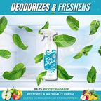 Oh Yuk Fridge Cleaner – Cleans Inside Refrigerator for Spotless, Food-Contact Safe Surfaces | Biodegradable, Vegan, Cruelty-Free | Effortlessly Lifts Sticky Messes & Dried-On Food | Spray Bottle