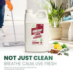 Naeterra Aromatherapy Cleaning Concentrate 64 oz Natural Multi-Surface Cleaner, Plant-Based and Biodegradable, Makes 24 Gallons, Cleaning Essential Oil Formula, Safe for Families and Pets