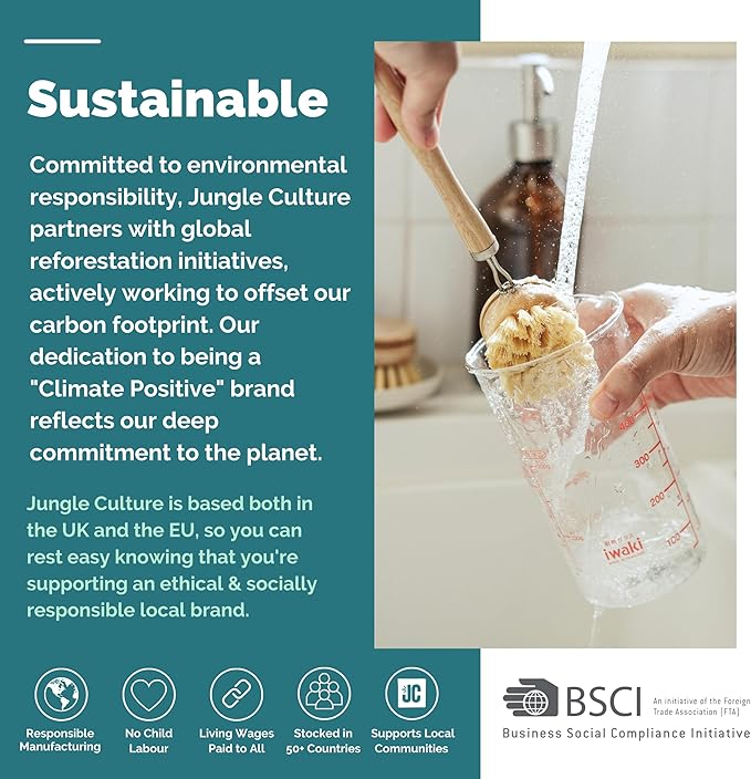 Jungle Culture Eco Sponge Set of 4 • Eco Friendly Natural Dishwashing Sponges • Non-Scratch, Biodegradable & Durable • Double Sided Loofah Kitchen Scourer • Compostable & Reusable Washing Up Sponges