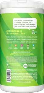 Method All-Purpose Cleaning Wipes (Pack of 2)