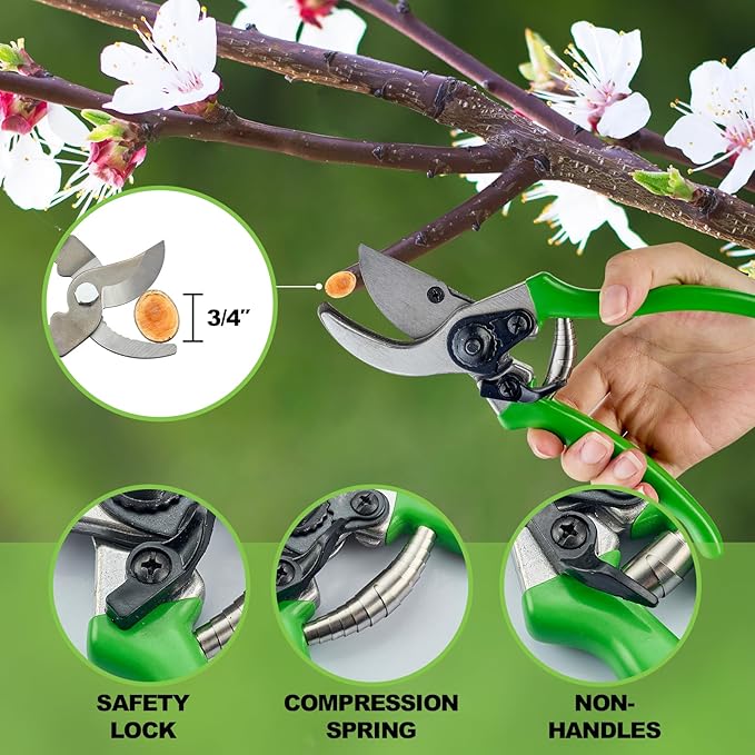 Pro Pruning Shears - Heavy Duty Garden Shears with SK-5 Steel Blades, Ergonomic Non-Slip Handle Tree Branch Cutter & Flower Arranging Tool