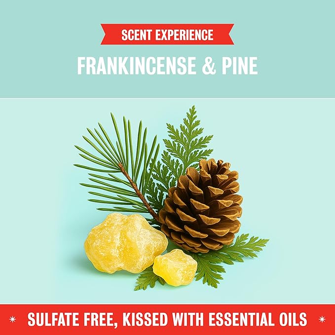 Rebel Green Super Deluxe Dish Soap - Natural Dishwashing Soap - Liquid Dish Detergent - Sustainable Dish Liquid Scented with Frankincense & Pine - (16 oz Bottles, 2 Pack)