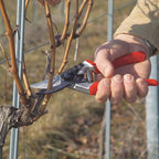 Felco F8 Pruning Shears – 8.3" Swiss-Made Garden Clippers with 1" Cutting Capacity for Ergonomic Comfort | Hand Pruners for Gardening | Garden Tool Cutter with Precision Bypass Blade, Aluminum Handles