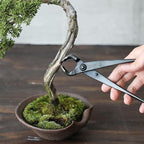 Wazakura Hand Forged Knob Bonsai Cutter Made in Japan 8-1/4 inch (210mm), Japanese Gardening Tools, Round Edge Concave Branch Cutter Black
