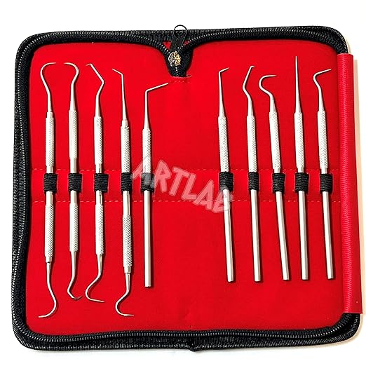 Premium Set of 12 Stainless Steel Precision Micro Probe Set Combo-Straight, Single, Short Double, Long Double, Triple and Hook Tips -Pick Tool Set 5.5"(14CM) (Set of 10 Each)