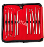Premium Set of 12 Stainless Steel Precision Micro Probe Set Combo-Straight, Single, Short Double, Long Double, Triple and Hook Tips -Pick Tool Set 5.5"(14CM) (Set of 10 Each)