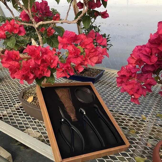 Tinyroots Bonsai Tools Kit, 5-Piece Set Includes: Traditional Butterfly Shaped Bonsai Shears, Concave Cutter, Wire Cutter, Genuine Hemp Broom, 2mm Bonsai Wire & Bamboo Storage Case