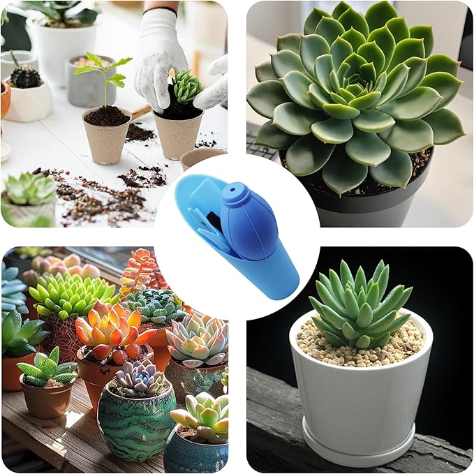 6Pcs Mini Succulent Tools Set, Garden Hand Tools Kit for Indoor Plant Care, Succulent Bonsai Miniature Garden Tool Set, Small Gardening Tools for Transplanting Digging Planting, Blue