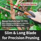 Bonsai Keyhole Saw 4-3/4" Made in JAPAN, Japanese Pruning Saw, Japanese Steel Blade, Wood Handle