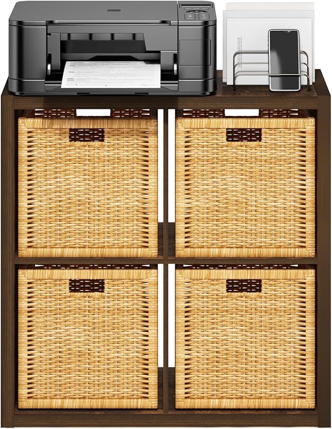 Furinno Cubicle Open Back Decorative Cube Storage Organizer, 4-Cube, Amber Pine