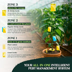 Catchmaster GRO Yellow Regular Double Sided Sticky Traps 72PK, Adhesive Bug & Fruit Fly Trap, Pest Control for Home, Farm, Garden, Hydroponics & Greenhouse, Protect Live Plants Indoor & Outdoor