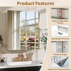 BEAUTYPEAK Bathroom Medicine Cabinet Mirror with Storage, 20 Inch x 24 Inch Silver Medicine Cabinet with Single Door & Adjustable Shelves for Vanity, Tempered, Aluminum Surface, Wall-mount or Recessed