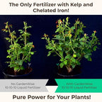 10-10-10 All Purpose Plant Food - Liquid Fertilizer with Seaweed Kelp & Iron - Indoor & Outdoor Plant Food, Vegetables, Flowers, Lawn & Garden 1x32oz