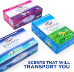 Clorox Scentiva Fabric Softening Dryer Sheets, 105 Sheets per Pack, Pacific Breeze & Coconut Scent | Bleach-Free Fabric Softener Sheets for Static Control and Reduce Wrinkles (6 Pack)