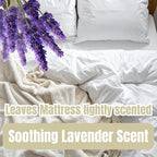 Geode Mattress Cleaner & Deodorizer – Natural Enzyme Formula for Stain & Odor Removal, Sweet Lavender Aroma, Eco-Friendly & Non-Toxic, Safe for All Fabrics (32fl oz)