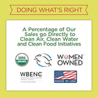 Rebel Green Sparkling Glass Cleaner - Streak Free Glass Cleaner Spray - Natural Glass & Surface Spray for Windows, Mirrors, & More - Scented with Peppermint & Lemon - (32 Ounce Bottles, 4 Pack)