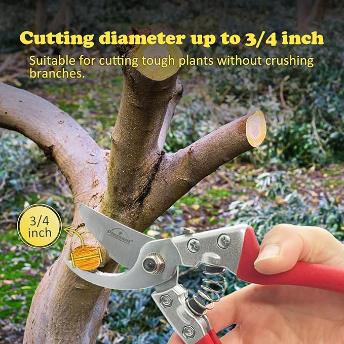 Pleasant Plus 8 inch Bypass Pruning Shears, Hand Pruners, Garden Clippers., Professional-Grade for Bonsai, Indoor and Outdoor plants, Tree Branchs, Sharp Blades, Ergonomic, Durable Aluminum Handles