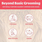 Skout's Honor Probiotic Dog Shampoo & Conditioner with Avocado Oil & Omega-3s, 97% Natural, Paraben & Sulfate-Free, Cruelty-Free, 16oz, Sunkissed Coconut, 2-Pack