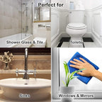 Invisible Shield- Glass Coating & Restorer Pack (10 oz) Cleaner & Glass Treatment for Showers & more