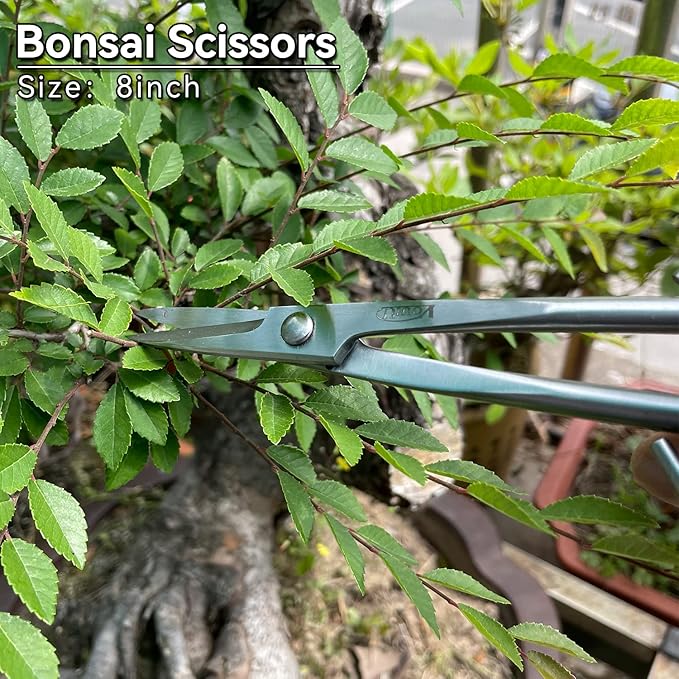 8inch Bonsai Scissors Bonsai Tools