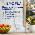 VEYOFLY Fly Trap Indoor, Fruit Fly Traps for Indoors, (1 Device + 3 Refills) Gnat Traps for House Indoor, Fly Catcher Indoor, Plug in Light Flying Insect Trap, Bug Light Killer, Fly Trap