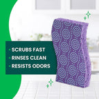 Scotch-Brite Odor Resist Non-Scratch Scrub Sponge, Dishwasher-Safe Kitchen Sponges that Resist Bacterial Odors, Multipurpose Dish Sponge for Gentle Cleaning, 6 Dish Sponges