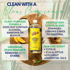 Whip-It Stain Remover and Concentrate Kit, 2-32oz Concentrates & 1-32 OZ Pro Spray Stain Remover, Makes 64 Bottles, Removes Coffee, Wine, Baby Stains, Pet Stains, Plant Based, Enzyme Cleaner, 500 Uses