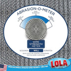 LOLA Steel Wool Wire Mesh Scouring Pad, 12 Pack, 4" Jumbo, Galvanized Steel, Heavy Duty Cleaning, Abrasive Scrubber, for Pots, Pans, Ovens, Grills
