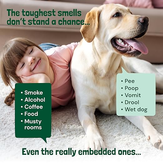 Sunny & Honey Carpet Deodorizer Powder - 20 Oz, Spring Mint - Odor Eliminator & Rug Freshener Powder for Pets & Kids