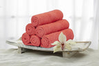 Softolle 100% Cotton Washcloths 24 Pack (12x12 Inches) Soft, Highly Absorbent Washcloth, Face Towels, Wash Cloths for Face, Ring Spun, Bulk Pack (Coral)