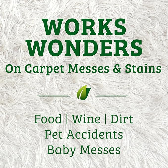 Biokleen Bac-Out Carpet Cleaner Spray, Stain Remover and Odor Eliminator, Use on Area Rugs, Upholstery & More, Removes Dirt, Pets, Wine & Food, Lime Scent, 32 oz, 2 Pack