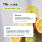 Bundle of ATTITUDE Kitchen Cleaner, EWG Verified, Advanced Degreasing Power, Plant and Mineral-Based, Vegan, Citrus Zest, 27.1 Fl Oz + Dishwashing Liquid, Citrus Zest, 23.7 Fl Oz