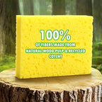 Compressed Natural Cellulose Sponges 24 Pack Regular Size Multicolor Soft Reusable Non-Scratch Long-Lasting Basics Dish Washing Sponges for Kitchen Cookware and Bathroom, DIY Cuts-Out for Fun