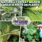 Trifecta Crop Control Super Concentrate All-in-One Natural Pesticide, Fungicide, Miticide, Insecticide, Help Defeat Spider Mites, Powdery Mildew, Botrytis, Mold, and More on Plants 4 OZ