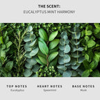 Lapew Eucalyptus Mint Scented Mop Soap - Luxury Floor Cleaner Concentrate for Mopping Tile, Laminate, Vinyl & Hardwood | Streak-Free, Low-Foam | 36 oz