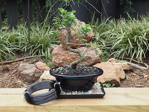 Black-3.5-Anodized Aluminum Bonsai Training Wire 250g Large Roll,Many Size to Choose,KSVZS Bendable Metal Wire for Crafts,Sculpting,Armature and Daily Use,Necessities for Family