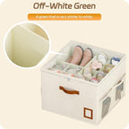 Shoe Organizer for Closet, 2 Pack Foldable Shoe Storage Organizer Box with Adjustable Dividers and Clear Cover, Space Saving Shoe Box with Reinforced Handles, Fits 16-32 Pairs, White+Green