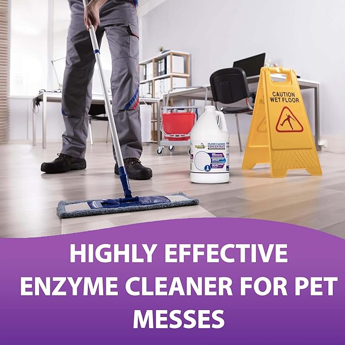 Sheiner's Multi-Surface Cleaner Concentrate, No-Rinse Floor Cleaner & Degreaser for Home, Office & Kitchen, Safe for Kids & Pets, Non-Toxic Lavender Scent All-Purpose Cleaning Supplies, 1-Gallon.
