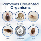 Spotless Essentials - Indoor Pest Control Spray & Multi-Surface Cleaner for Home and Kitchen - Kills Dust Mites, Bed Bugs, Ants, Lice - Child & Pet Friendly - 24oz (Laundry Fresh Scent)