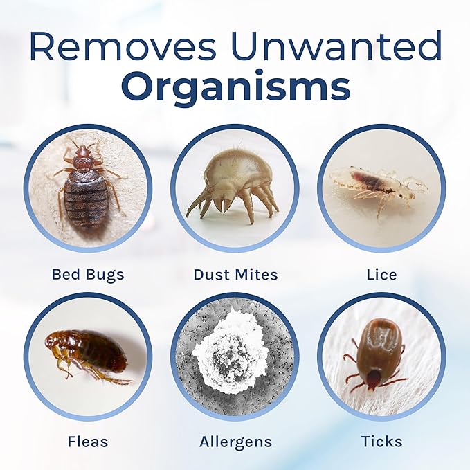 Spotless Essentials - Indoor Pest Control Spray & Multi-Surface Cleaner for Home and Kitchen - Kills Dust Mites, Bed Bugs, Ants, Lice - Child & Pet Friendly - 24oz (Laundry Fresh Scent)