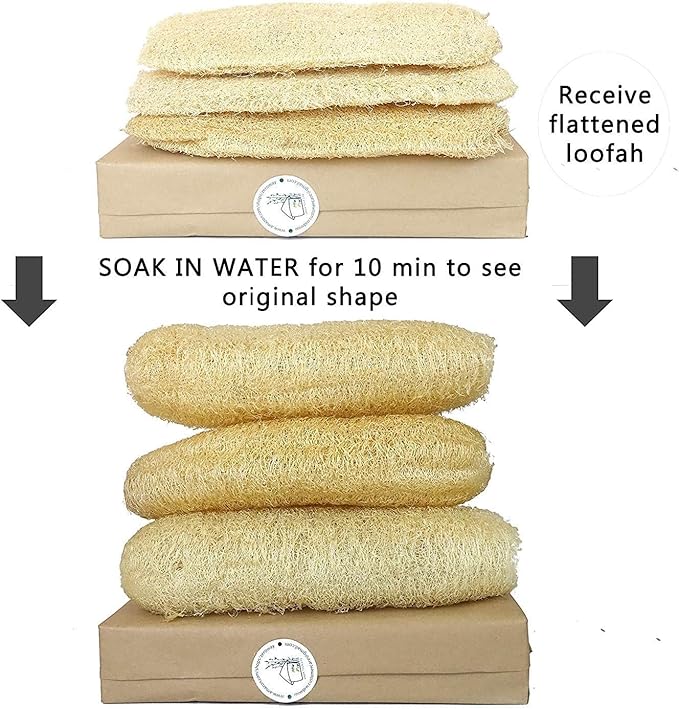 Natural Whole Loofah Dish Sponge (Pack 3) - Multipurpose Dish Sponges - 100% Biodegradable Compostable, Dishwashing Scouring Pad, Zero Waste