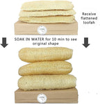 Natural Whole Loofah Dish Sponge (Pack 3) - Multipurpose Dish Sponges - 100% Biodegradable Compostable, Dishwashing Scouring Pad, Zero Waste
