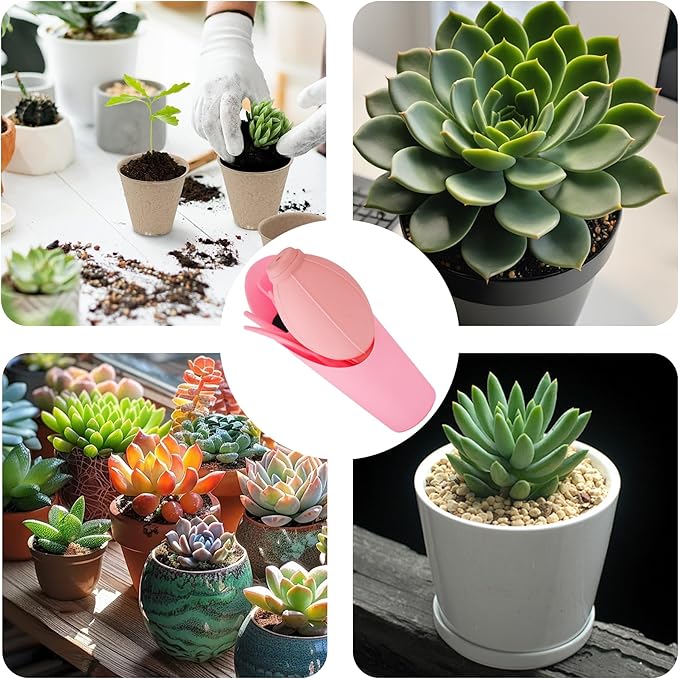 6Pcs Mini Succulent Tools Set, Garden Hand Tools Kit for Indoor Plant Care, Succulent Bonsai Miniature Garden Tool Set, Small Gardening Tools for Transplanting Digging Planting, Pink
