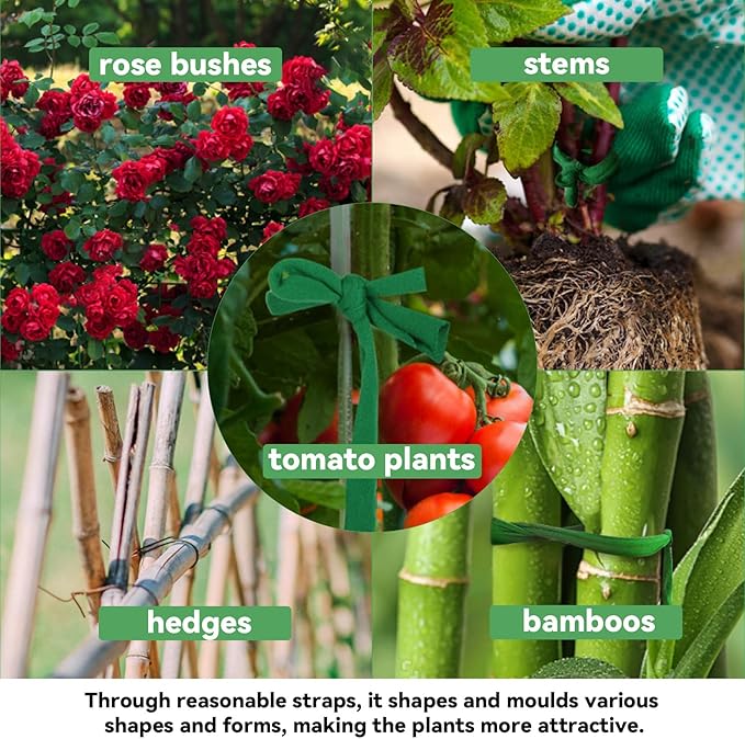 MAQIHAN 2 Pack Garden String - Plant Ties, Garden Twine, Gardening Tape, Tree Support, Stretchy Trap for Trees,Flowers,Green Soft Ties for All Plants All Gardeners(35M/Roll,115FT)