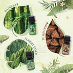 Woodland Fragrance Oils Set, Essential Oil Gift Set for Diffuser, Woody Scent Diffuser Oil, Diffuser Scents Oil for Home - Forest Pine, Teak, Bamboo, Fresh Soil, Fallen Leaves, Fresh Air